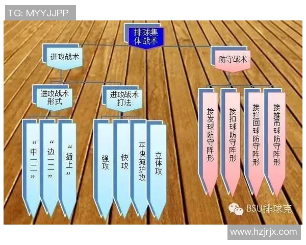 武汉排球队转换打法深度分析与战术演变探讨